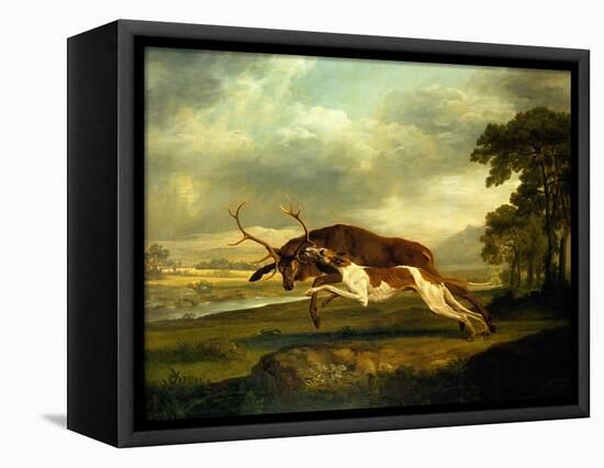 A Hound Attacking a Stag-George Stubbs-Framed Premier Image Canvas