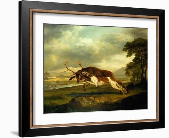 A Hound Attacking a Stag-George Stubbs-Framed Giclee Print