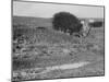 A House off its Foundation in a Gulley, Ca. 1910.-Kirn Vintage Stock-Mounted Photographic Print