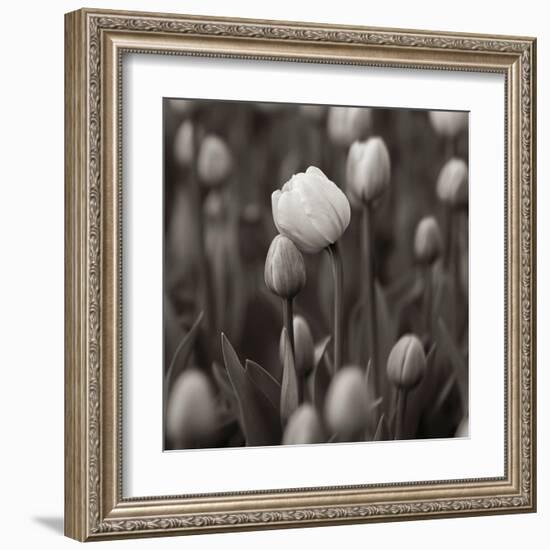 A hug-Samir Pajic-Framed Art Print