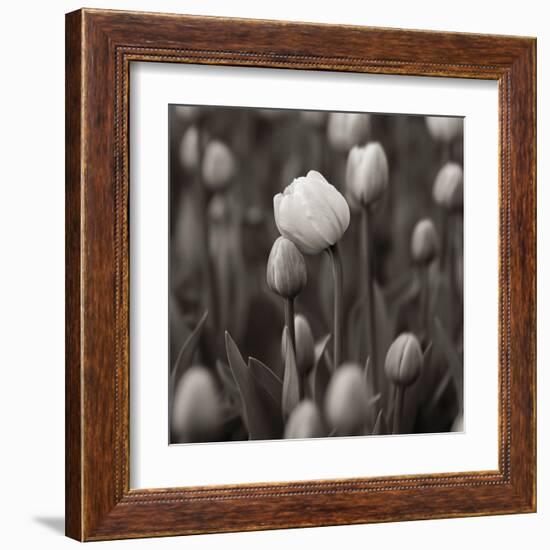 A hug-Samir Pajic-Framed Art Print