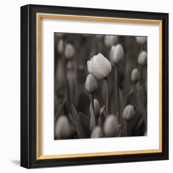 A Hug-null-Framed Art Print