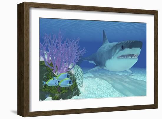 A Huge Megalodon Shark Swimming in Clear Ocean Waters-null-Framed Art Print