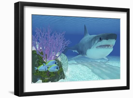 A Huge Megalodon Shark Swimming in Clear Ocean Waters-null-Framed Art Print