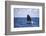 A Humpback Whale Begins to Breach Out of the Atlantic Ocean-Stocktrek Images-Framed Photographic Print