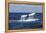 A Humpback Whale Raises its Tail as it Dives into the Atlantic Ocean-Stocktrek Images-Framed Premier Image Canvas