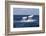 A Humpback Whale Raises its Tail as it Dives into the Atlantic Ocean-Stocktrek Images-Framed Photographic Print