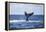 A Humpback Whale Slaps its Tail on the Surface of the Atlantic Ocean-Stocktrek Images-Framed Premier Image Canvas