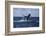 A Humpback Whale Slaps its Tail on the Surface of the Atlantic Ocean-Stocktrek Images-Framed Photographic Print