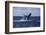 A Humpback Whale Slaps its Tail on the Surface of the Atlantic Ocean-Stocktrek Images-Framed Photographic Print