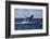 A Humpback Whale Slaps its Tail on the Surface of the Atlantic Ocean-Stocktrek Images-Framed Photographic Print