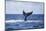 A Humpback Whale Slaps its Tail on the Surface of the Atlantic Ocean-Stocktrek Images-Mounted Photographic Print