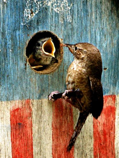 Photographic Print, , large