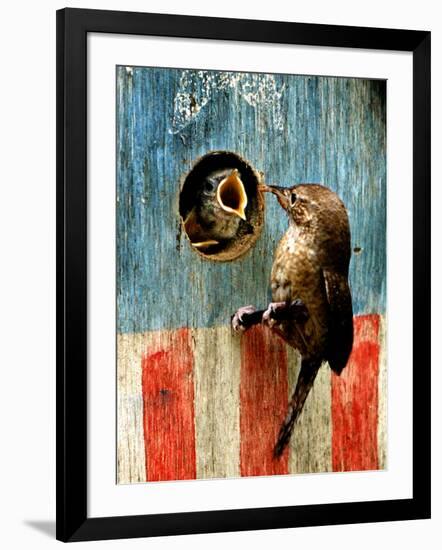 Photographic Print, , large