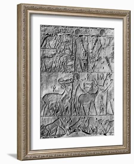 A Hunting Scene from the Tomb of Ptahhotep, Near Saqqara, Egypt, C2650 BC-null-Framed Giclee Print