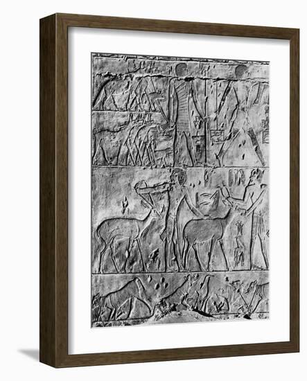 A Hunting Scene from the Tomb of Ptahhotep, Near Saqqara, Egypt, C2650 BC-null-Framed Giclee Print