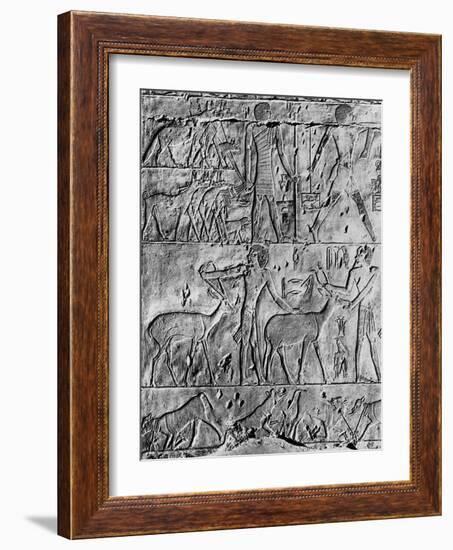 A Hunting Scene from the Tomb of Ptahhotep, Near Saqqara, Egypt, C2650 BC-null-Framed Giclee Print