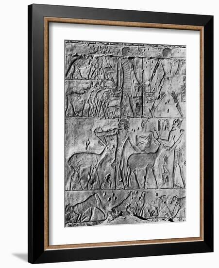 A Hunting Scene from the Tomb of Ptahhotep, Near Saqqara, Egypt, C2650 BC-null-Framed Giclee Print