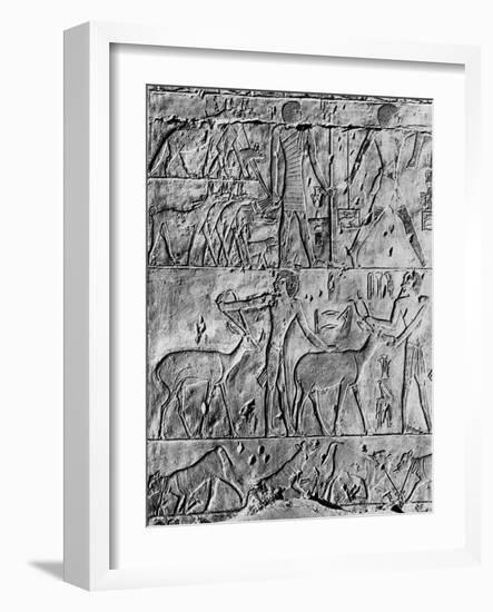 A Hunting Scene from the Tomb of Ptahhotep, Near Saqqara, Egypt, C2650 BC-null-Framed Giclee Print