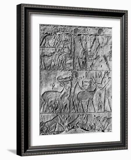 A Hunting Scene from the Tomb of Ptahhotep, Near Saqqara, Egypt, C2650 BC-null-Framed Giclee Print