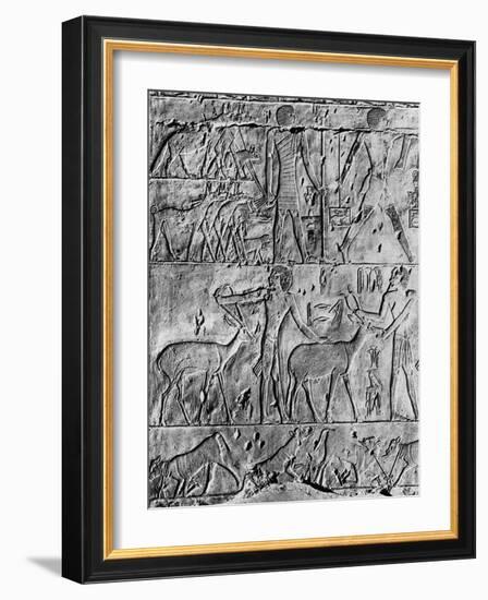 A Hunting Scene from the Tomb of Ptahhotep, Near Saqqara, Egypt, C2650 BC-null-Framed Giclee Print