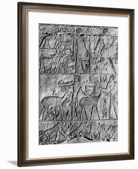 A Hunting Scene from the Tomb of Ptahhotep, Near Saqqara, Egypt, C2650 BC-null-Framed Giclee Print