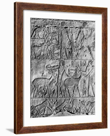 A Hunting Scene from the Tomb of Ptahhotep, Near Saqqara, Egypt, C2650 BC-null-Framed Giclee Print