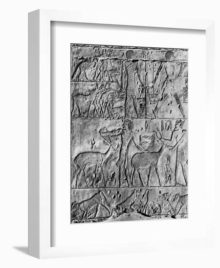 A Hunting Scene from the Tomb of Ptahhotep, Near Saqqara, Egypt, C2650 BC-null-Framed Giclee Print