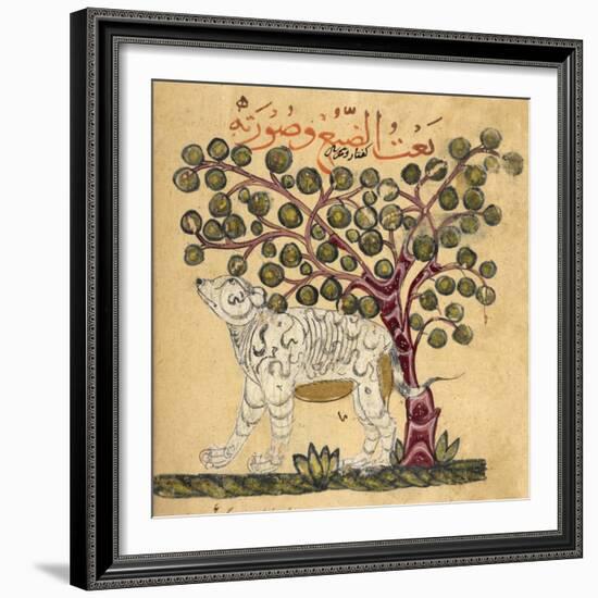 A Hyena-Aristotle ibn Bakhtishu-Framed Giclee Print