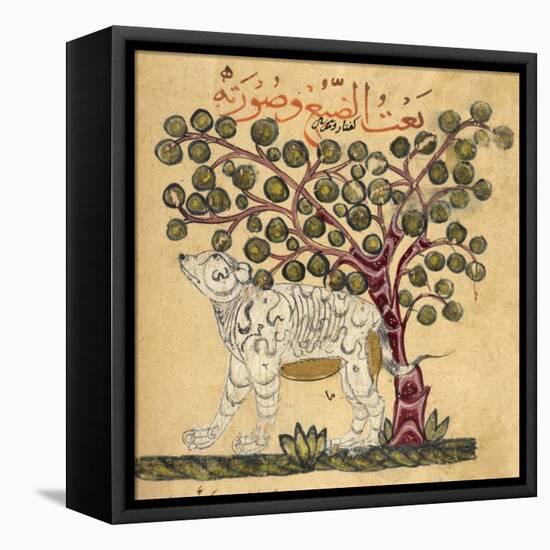 A Hyena-Aristotle ibn Bakhtishu-Framed Premier Image Canvas