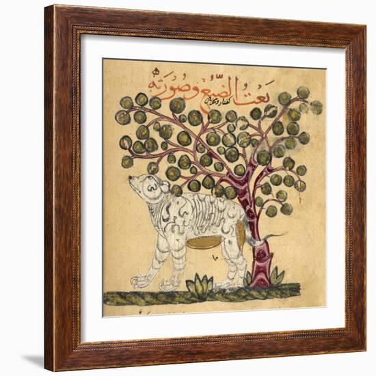 A Hyena-Aristotle ibn Bakhtishu-Framed Giclee Print