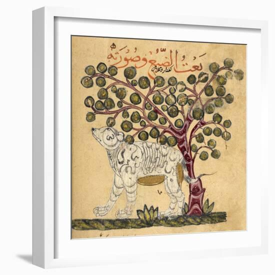 A Hyena-Aristotle ibn Bakhtishu-Framed Giclee Print