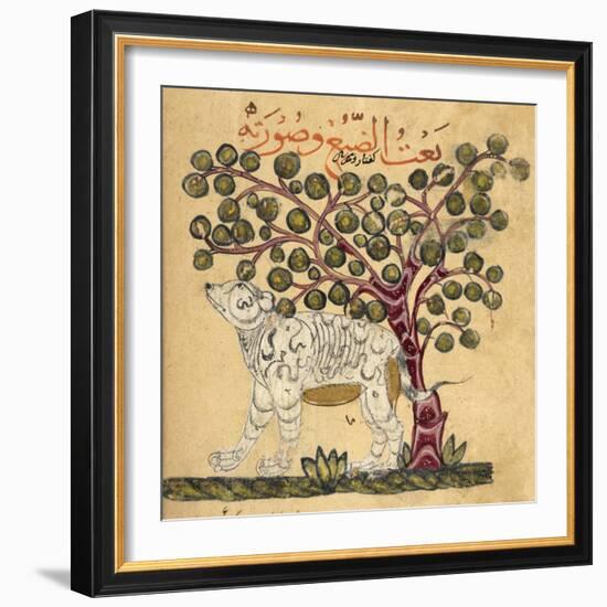 A Hyena-Aristotle ibn Bakhtishu-Framed Giclee Print