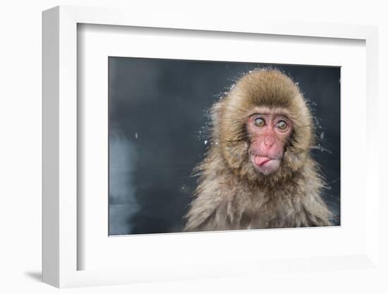 (aIa»)i¾i¾i¾i¾i¾-Takeshi Marumoto-Framed Photographic Print