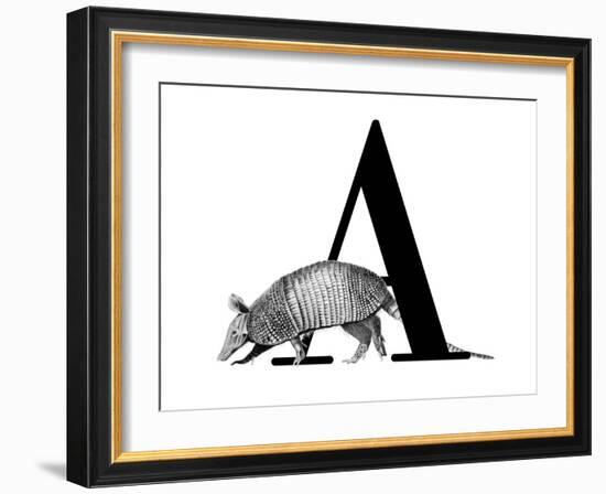 A is for Armadillo-Stacy Hsu-Framed Art Print