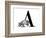 A is for Armadillo-Stacy Hsu-Framed Premium Giclee Print