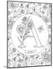 A is for Aster-Heather Rosas-Mounted Art Print