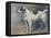 A Jack Russell, 1891-John Emms-Framed Premier Image Canvas