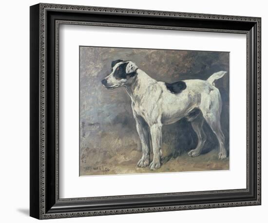 A Jack Russell, 1891-John Emms-Framed Giclee Print