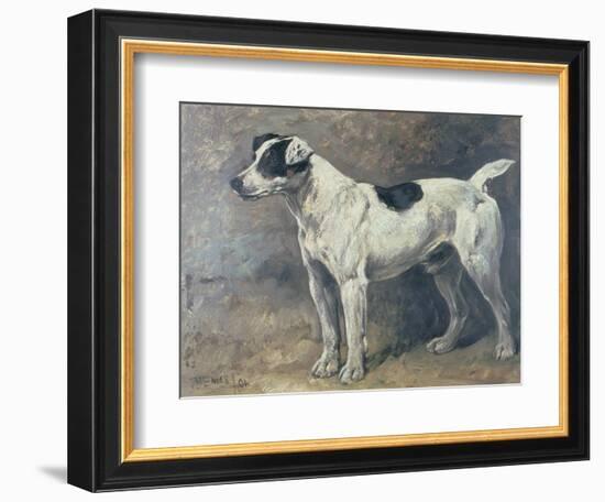 A Jack Russell, 1891-John Emms-Framed Giclee Print