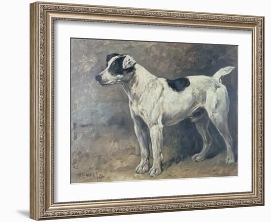 A Jack Russell, 1891-John Emms-Framed Giclee Print