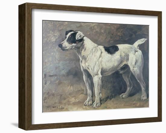 A Jack Russell, 1891-John Emms-Framed Giclee Print