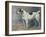 A Jack Russell, 1891-John Emms-Framed Giclee Print