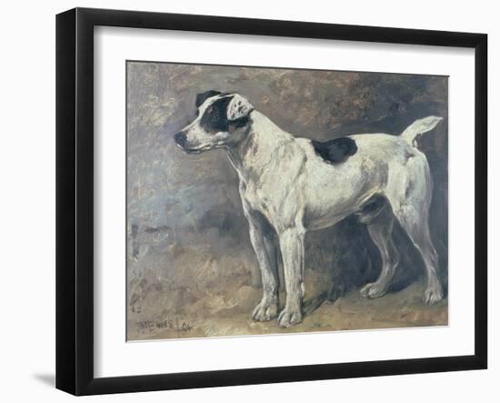 A Jack Russell, 1891-John Emms-Framed Giclee Print