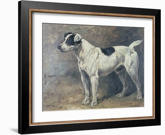 A Jack Russell, 1891-John Emms-Framed Giclee Print