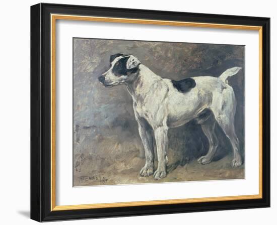 A Jack Russell, 1891-John Emms-Framed Giclee Print