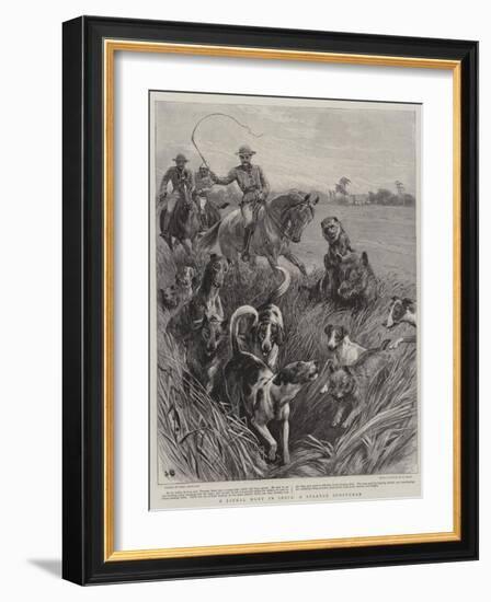 A Jackal Hunt in India, a Strange Sportsman-John Charlton-Framed Giclee Print