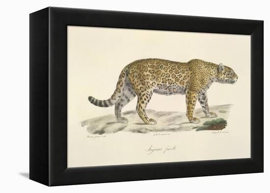 A Jaguar-Werner-Framed Premier Image Canvas