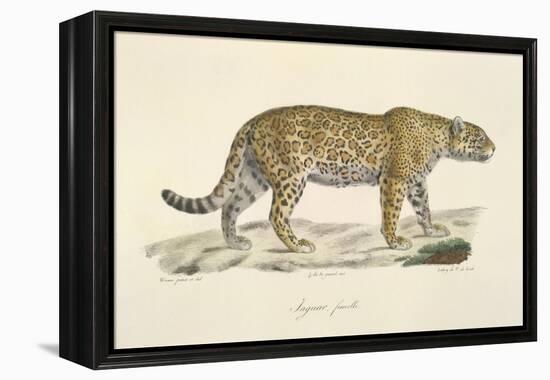 A Jaguar-Werner-Framed Premier Image Canvas