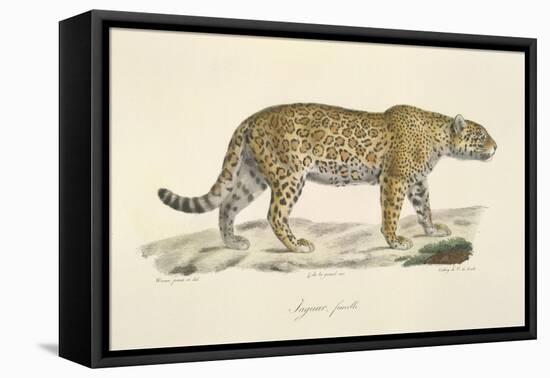 A Jaguar-Werner-Framed Premier Image Canvas